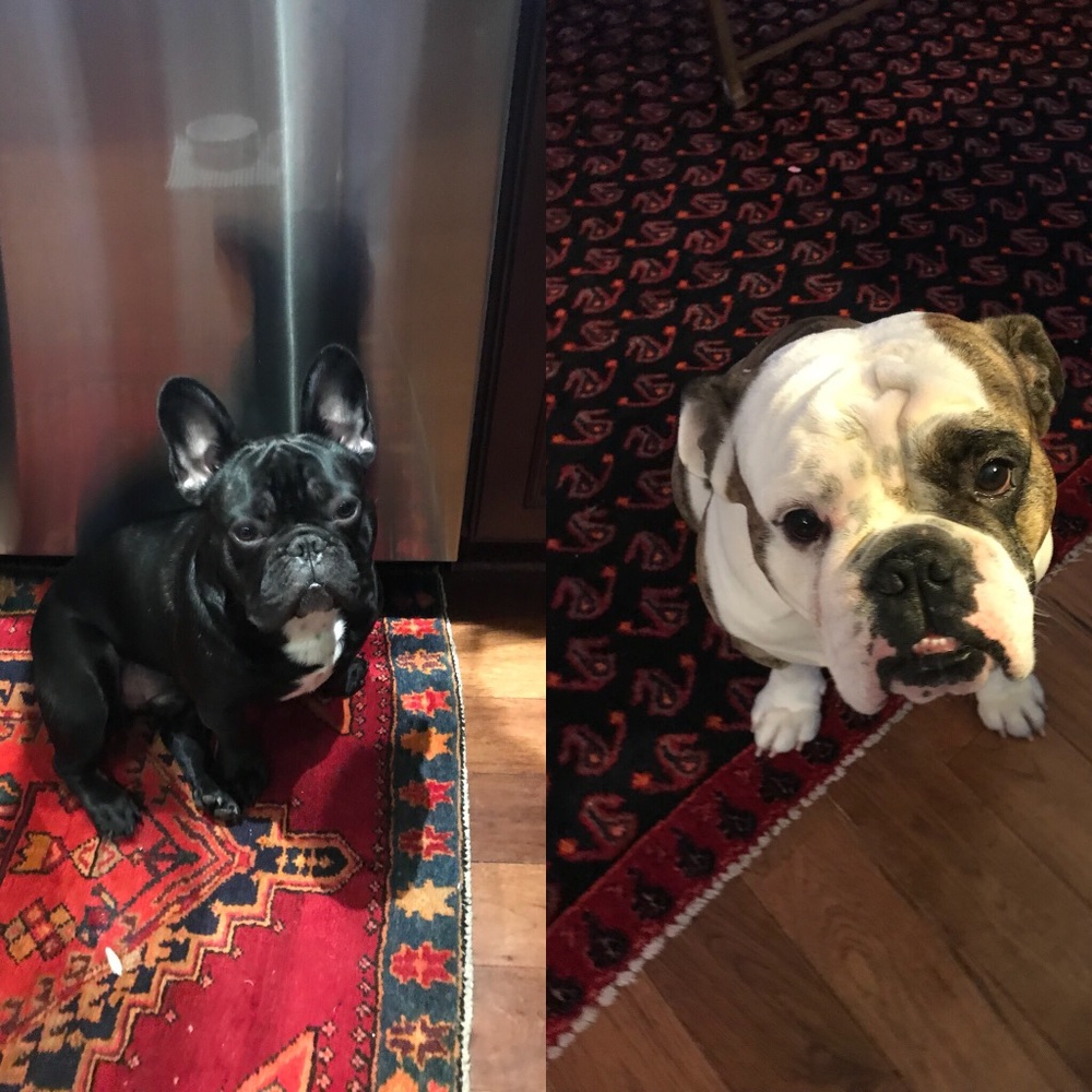 Meet your Posher, Mckenna